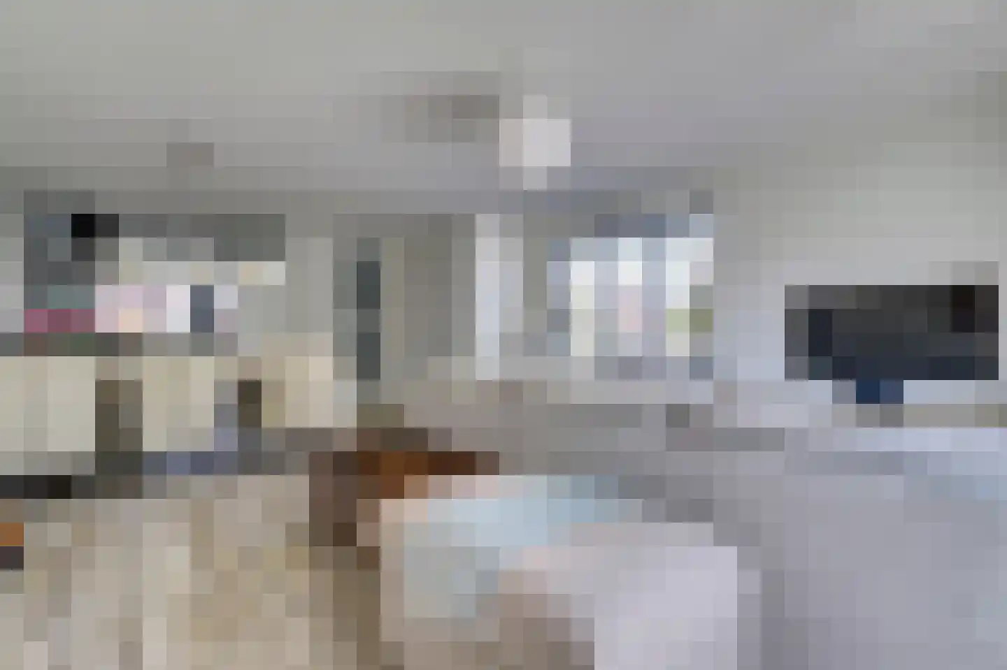 Annie M.G. Schmidthof 2 Zaltbommel thumbnail 19