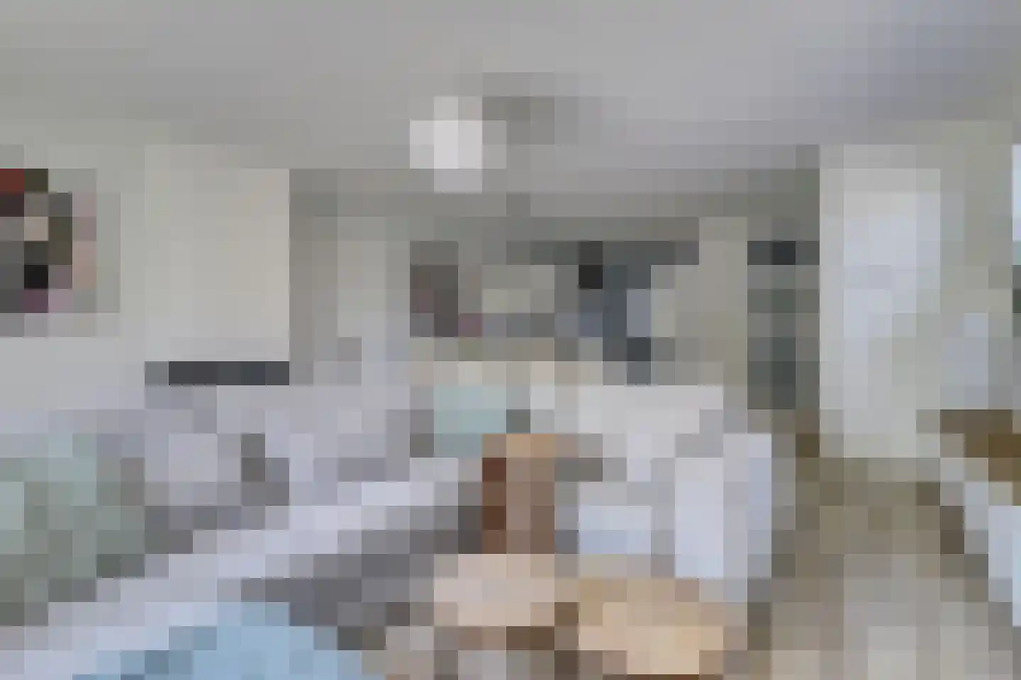 Annie M.G. Schmidthof 2 Zaltbommel thumbnail 20