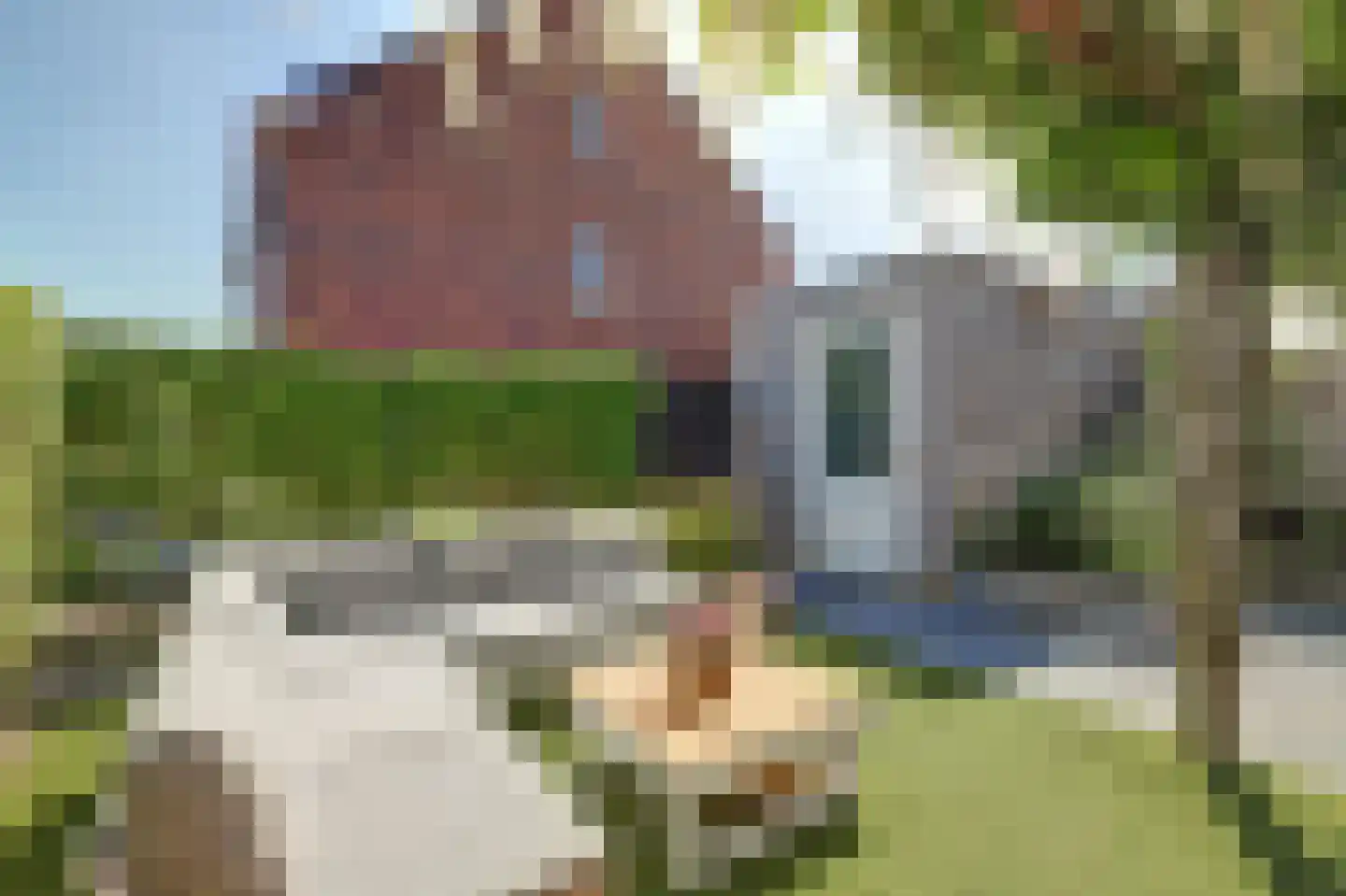 Annie M.G. Schmidthof 2 Zaltbommel thumbnail 8
