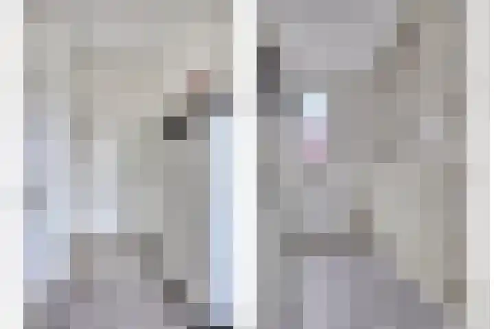 Annie M.G. Schmidthof 4 Zaltbommel thumbnail 11