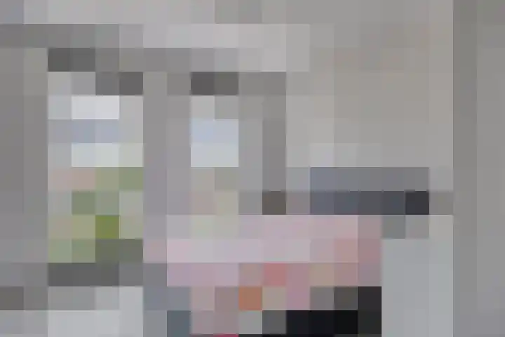 Annie M.G. Schmidthof 4 Zaltbommel thumbnail 12