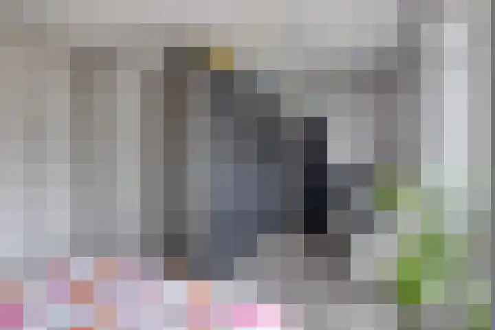 Annie M.G. Schmidthof 4 Zaltbommel thumbnail 14