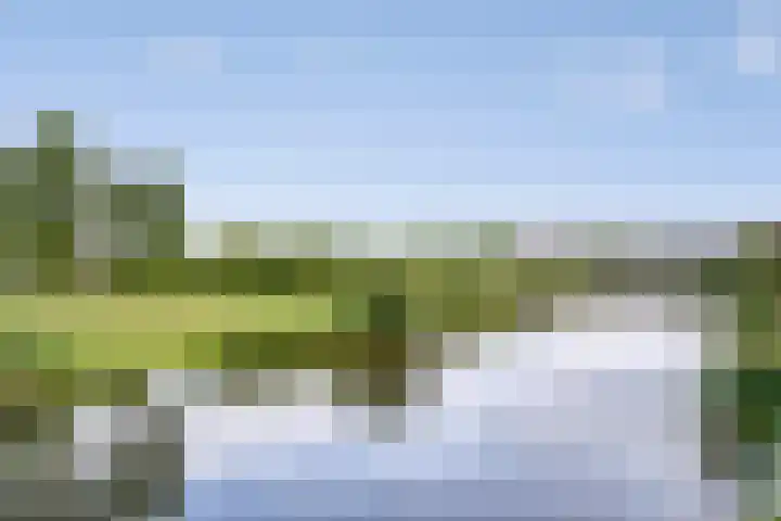 Annie M.G. Schmidthof 4 Zaltbommel thumbnail 36
