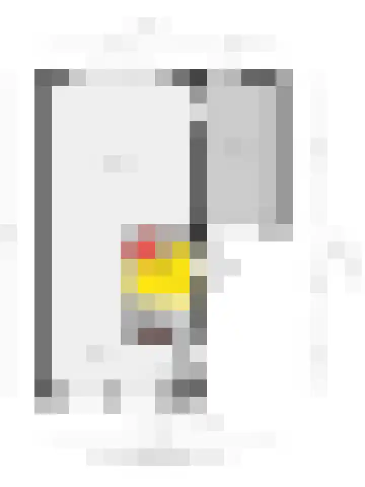 Annie M.G. Schmidthof 4 Zaltbommel thumbnail 39