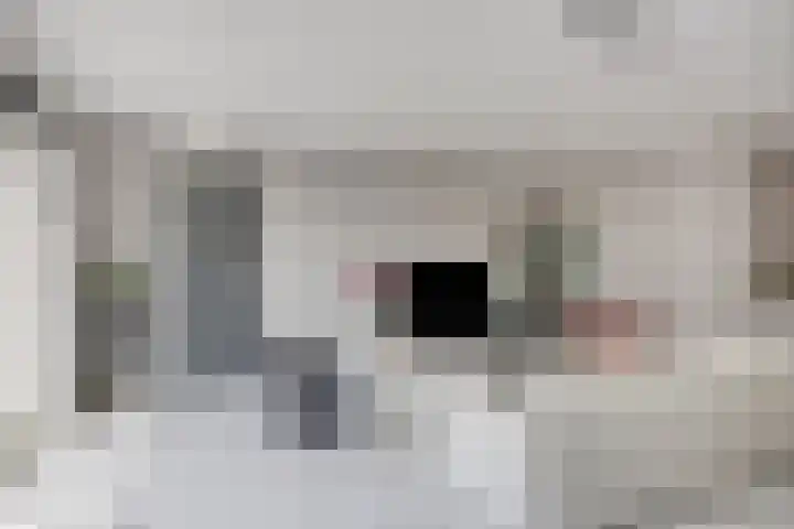 Annie M.G. Schmidthof 4 Zaltbommel thumbnail 6