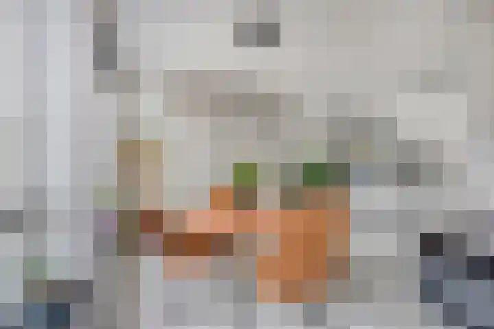 Annie M.G. Schmidthof 4 Zaltbommel thumbnail 8