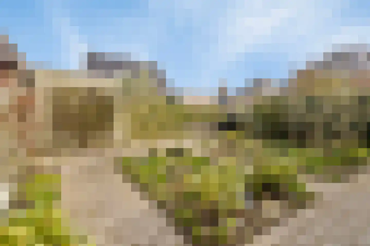 Annie M.G. Schmidtlaan 1 Kloetinge thumbnail 30