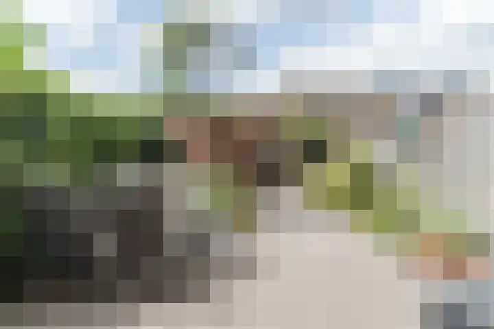 Annie M.G. Schmidtlaan 16 Gorinchem thumbnail 20