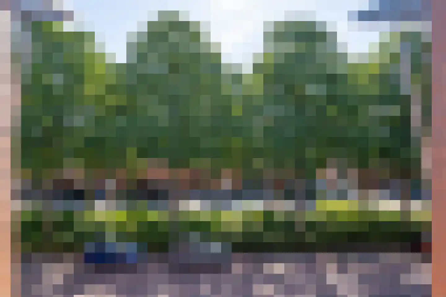 Annie M.G. Schmidtlaan 20 Gorinchem thumbnail 37