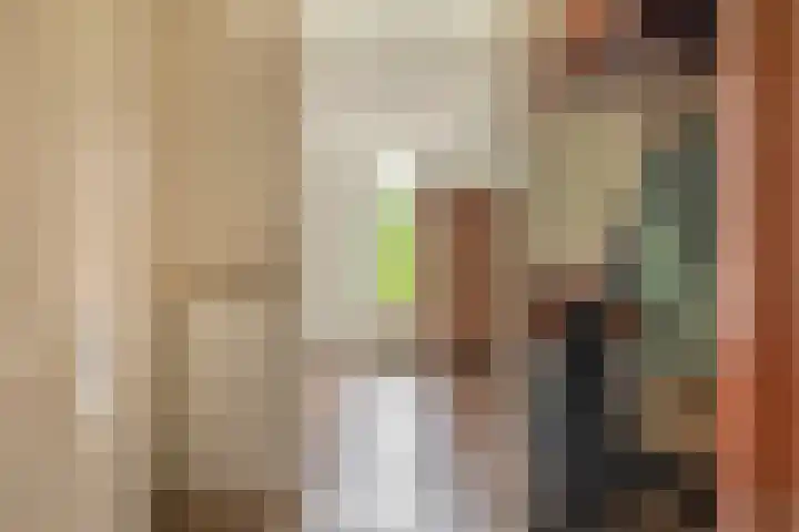 Annie M.G. Schmidtlaan 3 Bladel thumbnail 10