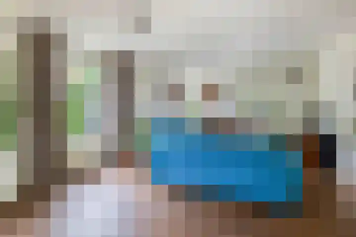 Annie M.G. Schmidtlaan 3 Bladel thumbnail 12