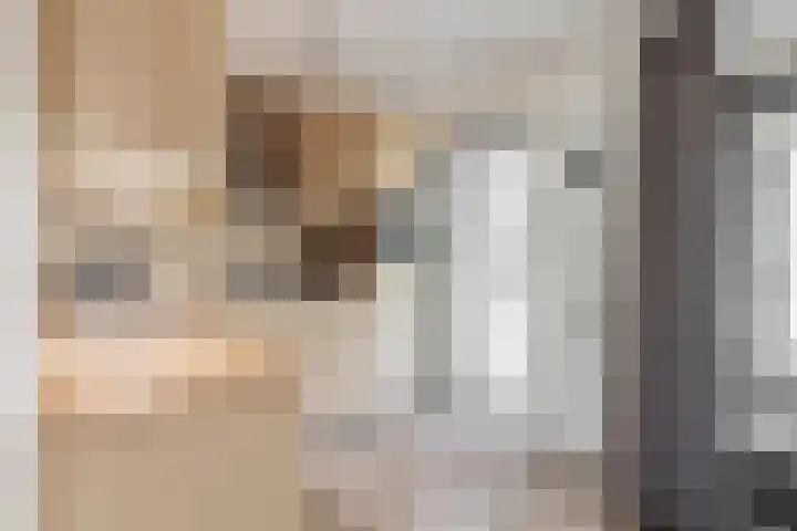 Annie M.G. Schmidtlaan 3 Bladel thumbnail 19