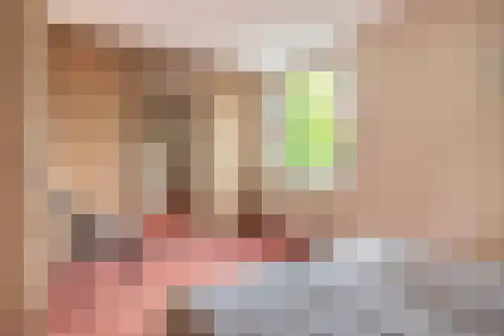 Annie M.G. Schmidtlaan 3 Bladel thumbnail 23