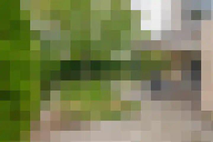 Annie M.G. Schmidtlaan 3 Bladel thumbnail 32