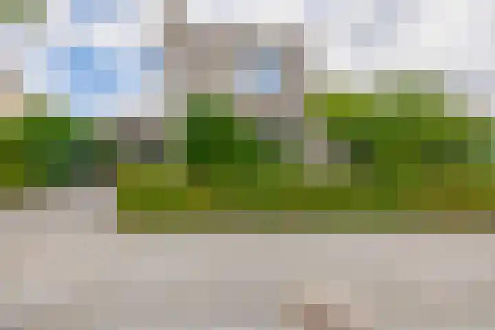 Annie M.G. Schmidtlaan 3 Bladel thumbnail 35