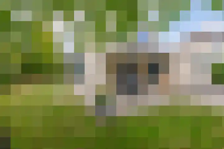 Annie M.G. Schmidtlaan 3 Bladel thumbnail 5