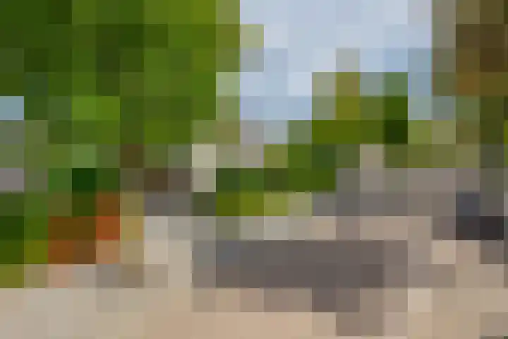 Annie M.G. Schmidtlaan 3 Bladel thumbnail 7