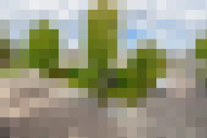 Annie M.G. Schmidtlaan 3 Bladel thumbnail 8
