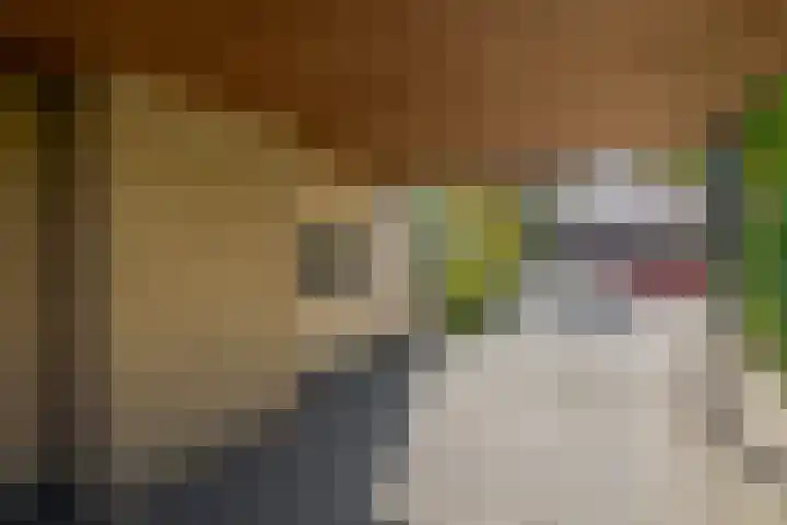 Annie M.G. Schmidtlaan 3 Bladel thumbnail 9