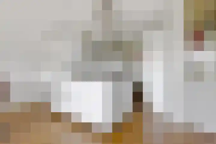 Annie M.G. Schmidtlaan 360 Voorschoten thumbnail 14