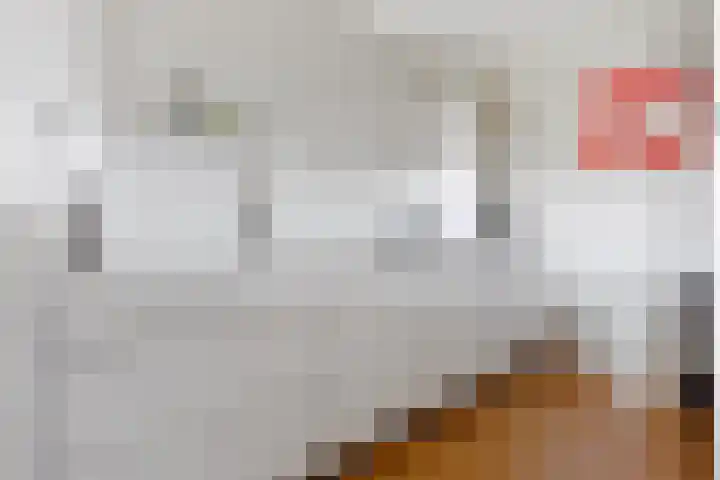 Annie M.G. Schmidtlaan 360 Voorschoten thumbnail 15