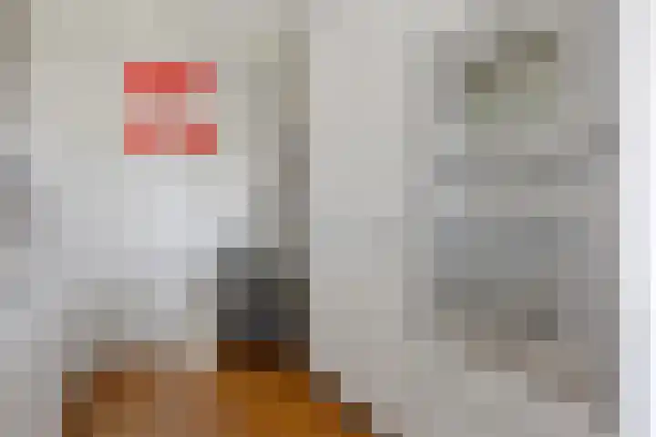 Annie M.G. Schmidtlaan 360 Voorschoten thumbnail 17