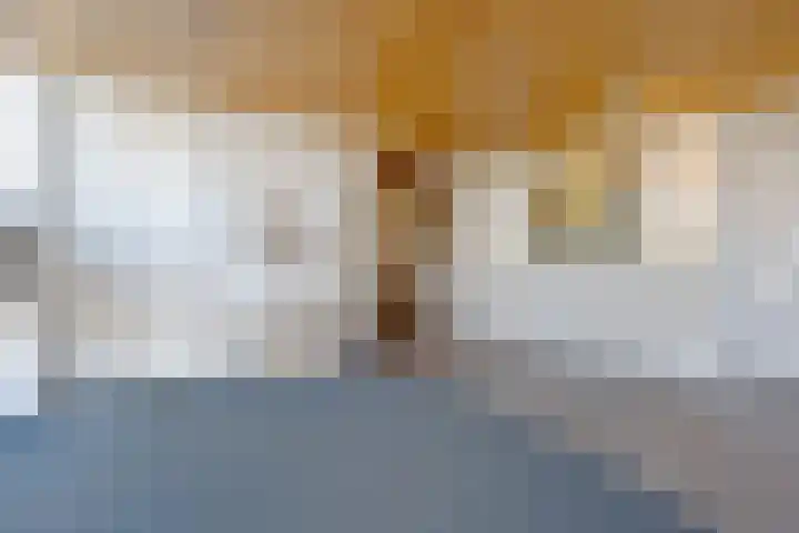 Annie M.G. Schmidtlaan 360 Voorschoten thumbnail 32