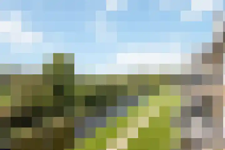 Annie M.G. Schmidtlaan 360 Voorschoten thumbnail 6