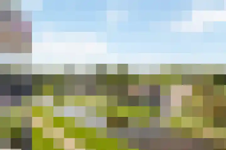 Annie M.G. Schmidtlaan 360 Voorschoten thumbnail 8