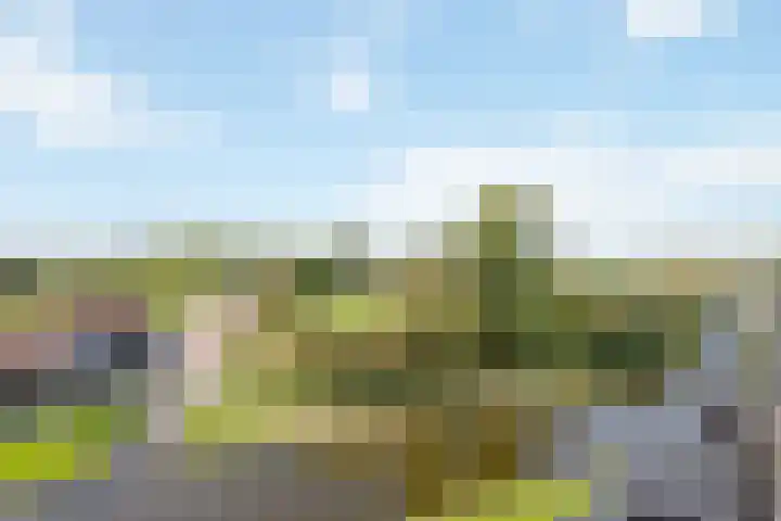 Annie M.G. Schmidtlaan 360 Voorschoten thumbnail 9