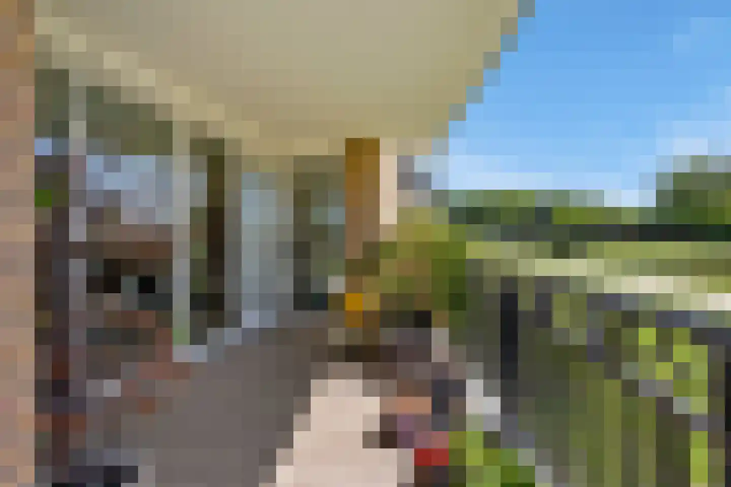 Annie M.G. Schmidtlaan 368 Voorschoten thumbnail 11