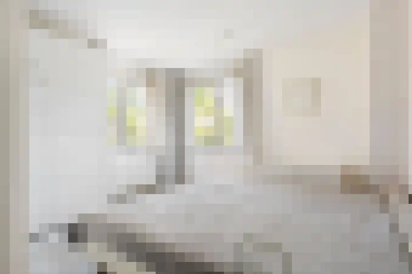 Annie M.G. Schmidtlaan 368 Voorschoten thumbnail 25