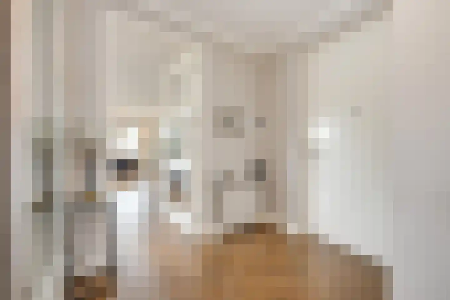 Annie M.G. Schmidtlaan 370 Voorschoten thumbnail 8