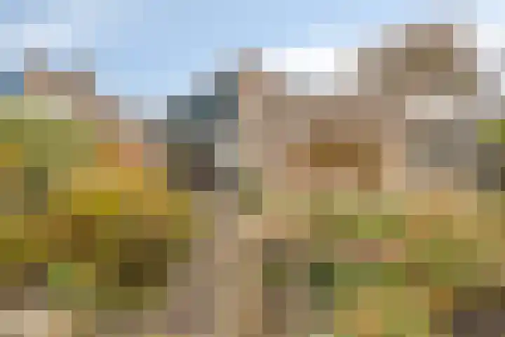 Annie M.G. Schmidtlaan 39 Oegstgeest thumbnail 33