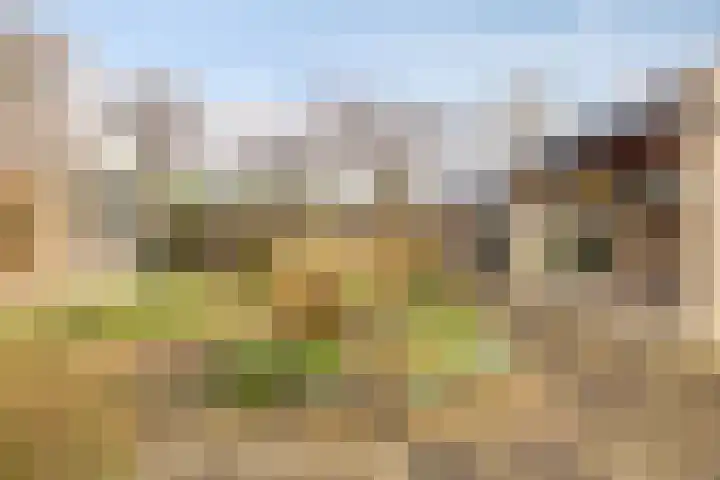 Annie M.G. Schmidtlaan 39 Oegstgeest thumbnail 34
