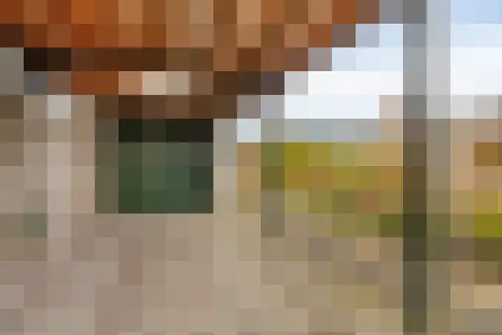 Annie M.G. Schmidtlaan 39 Oegstgeest thumbnail 35