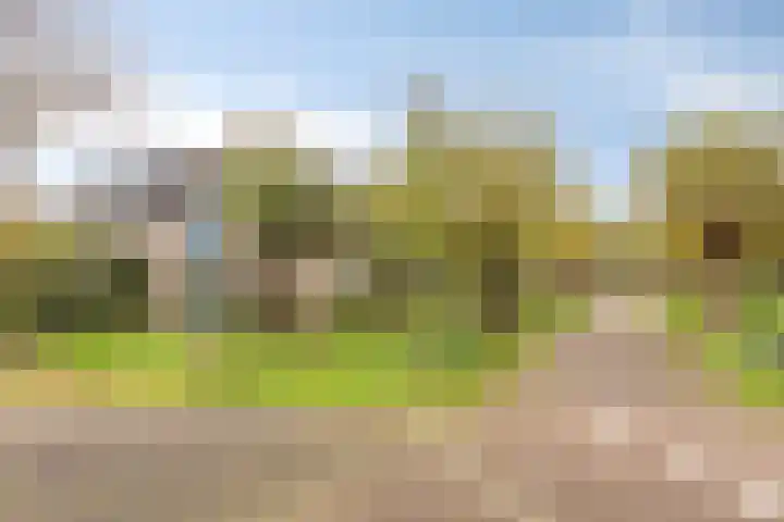 Annie M.G. Schmidtlaan 39 Oegstgeest thumbnail 4