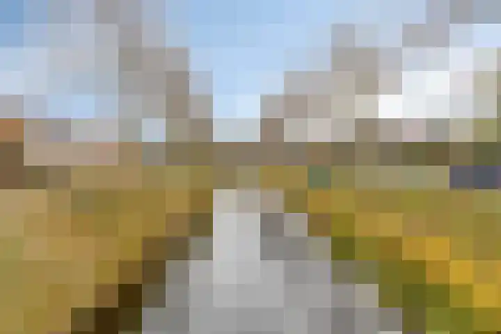 Annie M.G. Schmidtlaan 39 Oegstgeest thumbnail 41