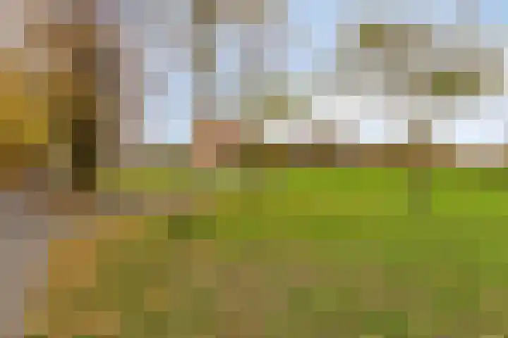 Annie M.G. Schmidtlaan 39 Oegstgeest thumbnail 44