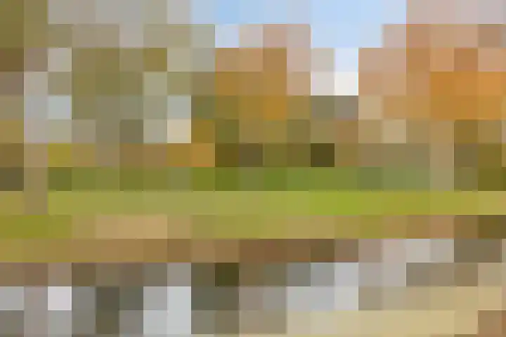 Annie M.G. Schmidtlaan 39 Oegstgeest thumbnail 45