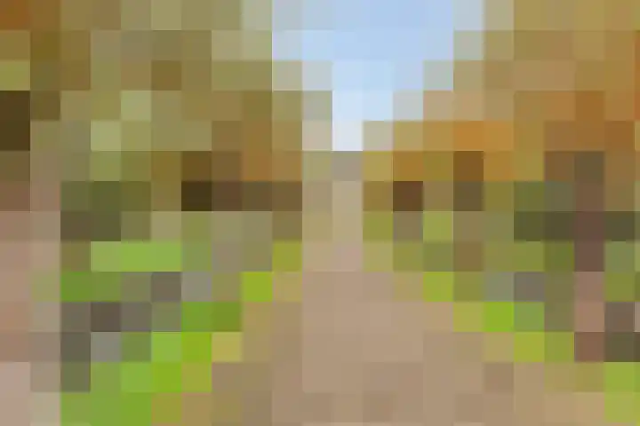 Annie M.G. Schmidtlaan 39 Oegstgeest thumbnail 6