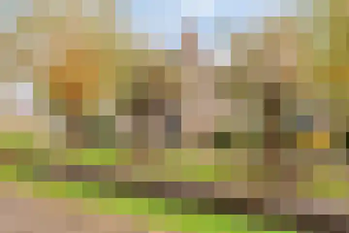 Annie M.G. Schmidtlaan 39 Oegstgeest thumbnail 7