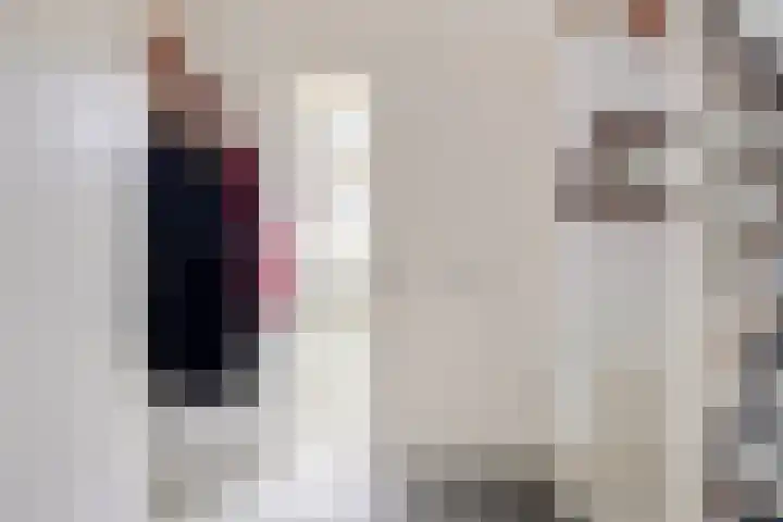 Annie M.G. Schmidtlaan 39 Oegstgeest thumbnail 8