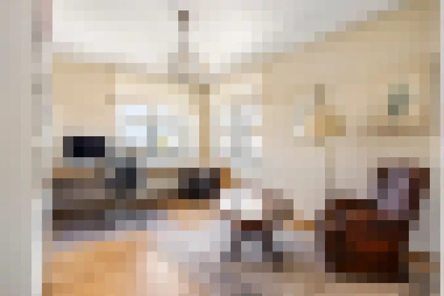 Annie M.G. Schmidtlaan 420 Voorschoten thumbnail 36
