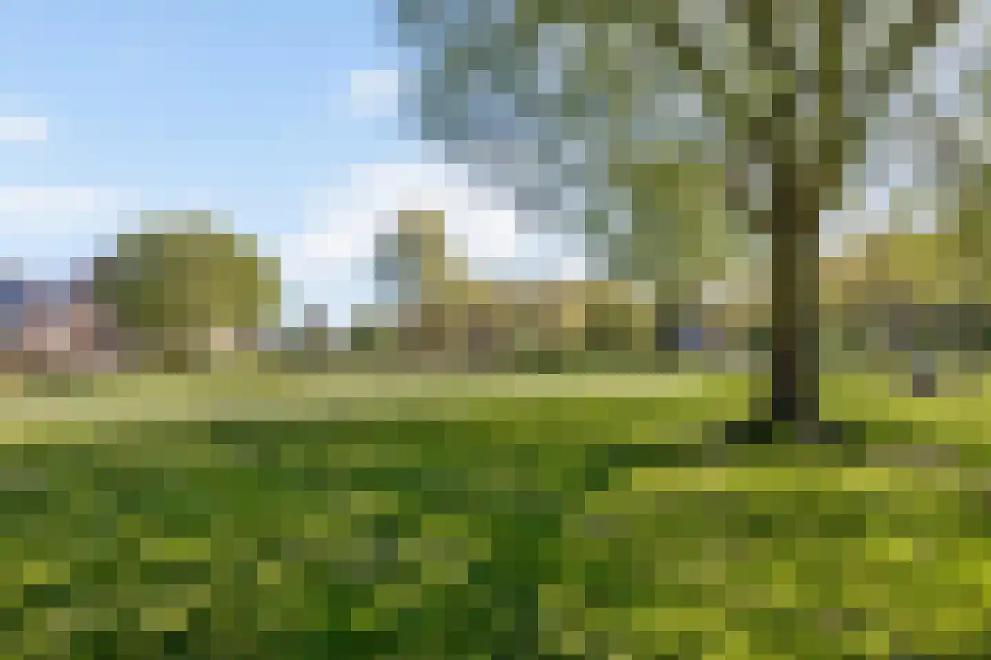 Annie M.G. Schmidtlaan 420 Voorschoten thumbnail 53