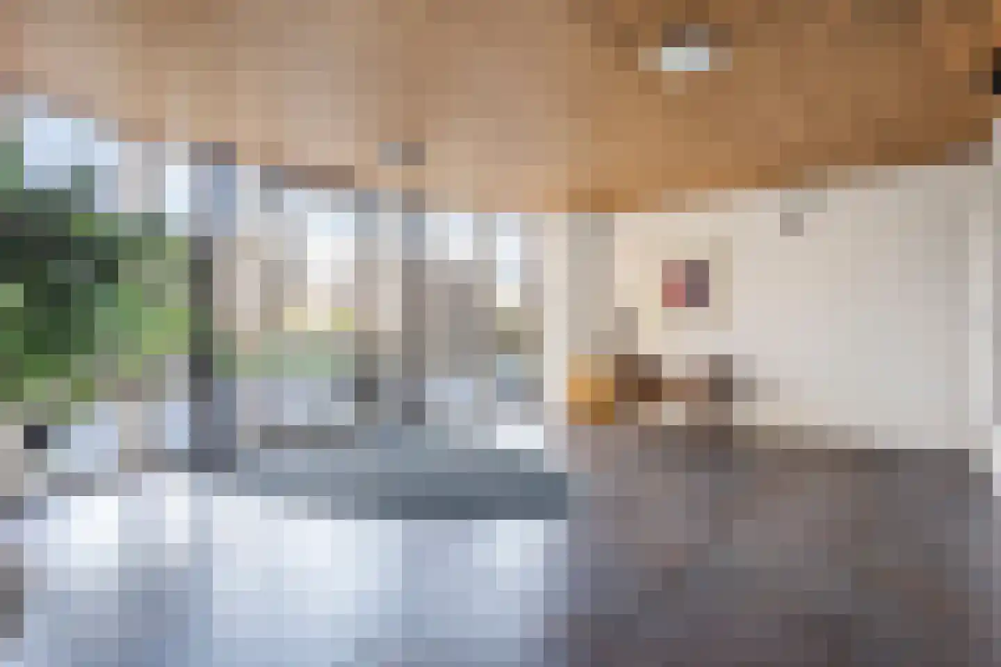 Annie M.G. Schmidtlaan 420 Voorschoten thumbnail 6