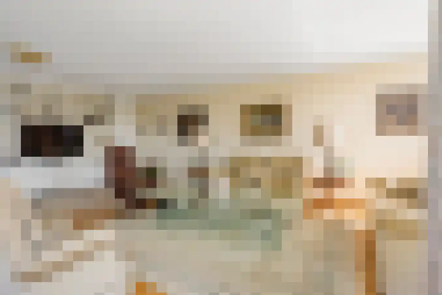 Annie M.G. Schmidtlaan 420 Voorschoten thumbnail 9