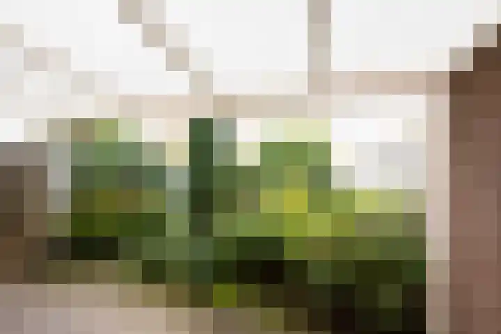 Annie M.G. Schmidtplein 52 Waalwijk thumbnail 25