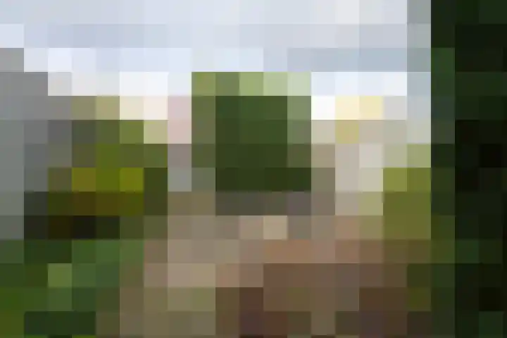 Annie M.G. Schmidtplein 52 Waalwijk thumbnail 26