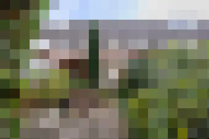 Annie M.G. Schmidtplein 52 Waalwijk thumbnail 27
